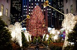 christmas_tree_new-york